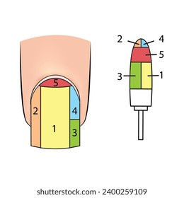 Ilustración con superficies de trabajo para una manicura de uñas. Material educativo