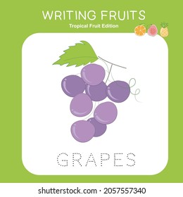 Illustration of worksheet writing practice tropical fruit. Educational printable worksheet. Exercises lettering game for kids. Vector illustration.