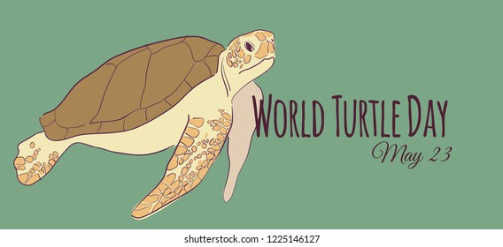 Illustration to the world day of turtles. Cute sea turtle on a green background.