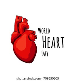 Illustration For World Heart Day. Vector Real Heart Isolated On A White Backgrounds.