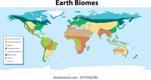 Illustration of a world map divided into different biomes using vibrant colors svg