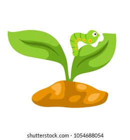 Illustration of worm eaten leaf vector