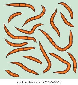 Illustration of the worm group