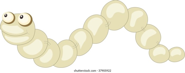 illustration of worm on white