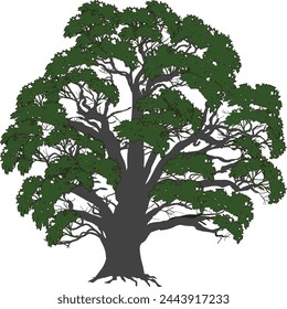ilustración con árbol verde aislado sobre fondo blanco