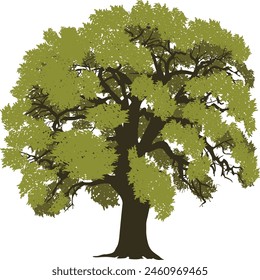 illustration wth large green tree isolated on white background
