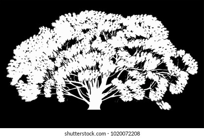 illustration wth large tree isolated on black background