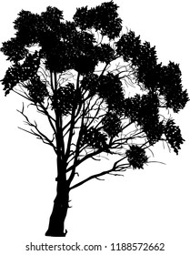 ilustración con árbol grande aislado en fondo blanco
