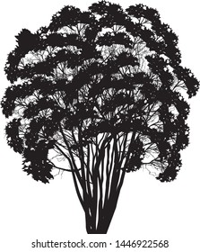 illustration wth large tree isolated on white background
