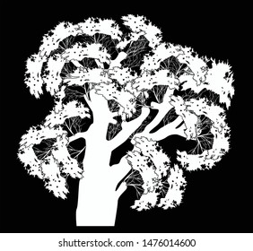 illustration wth large tree isolated on black background