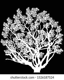 ilustração com árvore grande isolada no plano de fundo preto