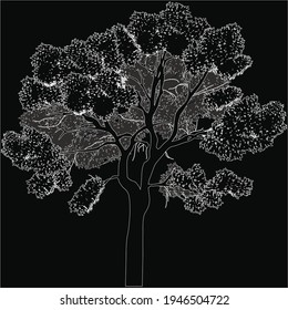 illustration wth large tree isolated on black background