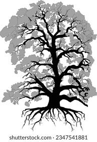 illustration wth large tree isolated on white background
