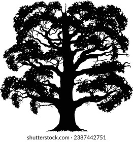 illustration wth large tree isolated on white background