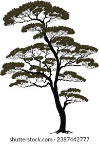 illustration wth large tree isolated on white background