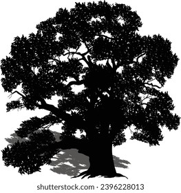 illustration wth large tree isolated on white background