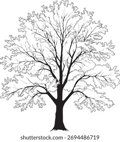 Ilustración con árbol Grande aislado sobre fondo blanco