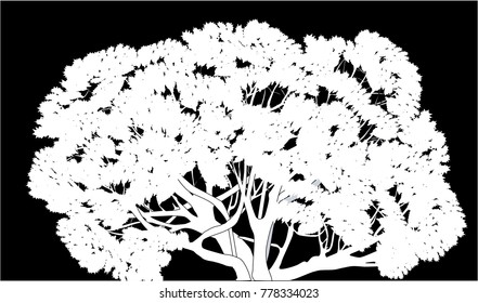 illustration wth large tree isolated on black background