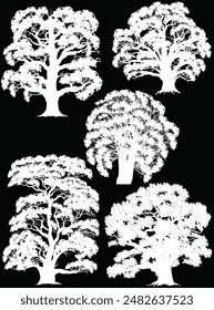 illustration wth large trees isolated on black background