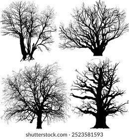 illustration wth large trees isolated on white background
