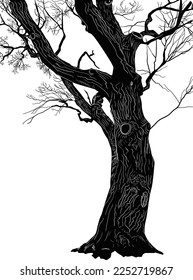 illustration wth part of oak tree isolated on white background