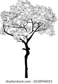 illustration wth small tree isolated on white background