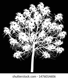 illustration wth tree isolated on black background