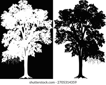 ilustração com árvore isolada no plano de fundo preto e branco