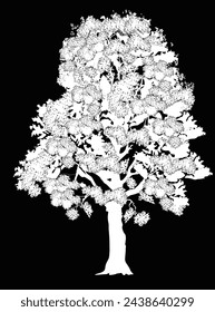 ilustración con árbol blanco aislado sobre fondo negro