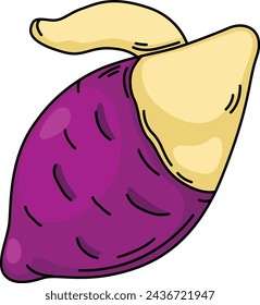 illustration of yam outline white on background vector