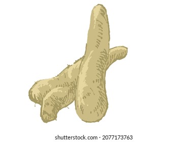 Ilustración de yam con un toque duro y cálido