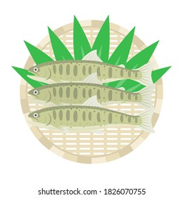 Illustration of a yamame trout on a colander.