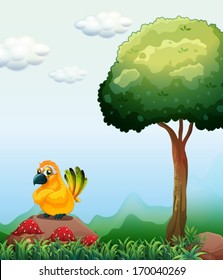 Illustration of a yellow bird above the rock near the mushrooms