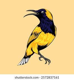 illustration yellow and black bird drawing 