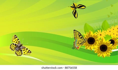 illustration with yellow butterflies and flower on green background