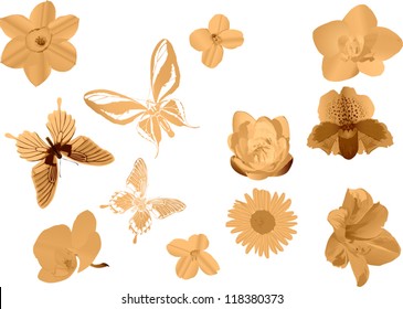 illustration with yellow butterflies and flowers on white background