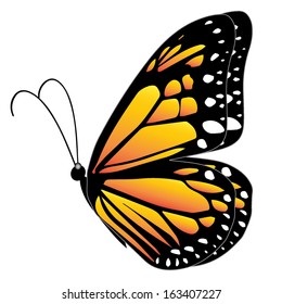 Illustration of a yellow butterfly flying on a white background 