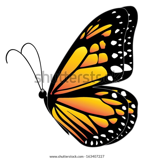 Illustration Yellow Butterfly Flying On White Stock Vector ...