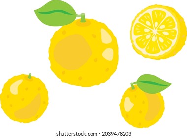 Illustration der gelben Zitrone