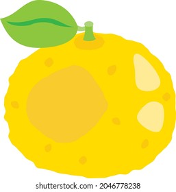Illustration of the yellow citron