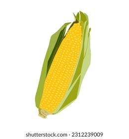 Illustration of yellow corn vector on white background 