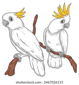 an illustration of yellow crested cockatoo tropical exotic bird in cartoon drawing style