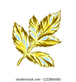 Illustration of yellow dahlia leaf. Beautiful decorative plant.