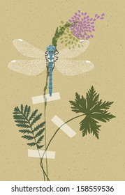 Illustration of yellow dragonfly in the herbarium