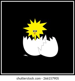 Illustration of yellow easter chicken in the white broken shell on the black background