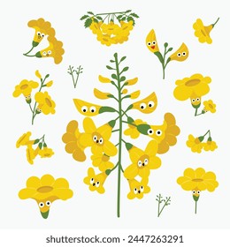 Illustration of Yellow elder  flowers. This is a flower that usually bloom in the summer.