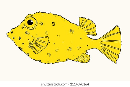 illustration of a yellow fish. The body-cube  of a tropical aquarium fish with spots hand-painted with a black line on a light one. isolated sea fish sketch element for menu design template, label