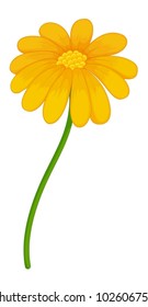 Illustration of a yellow flower