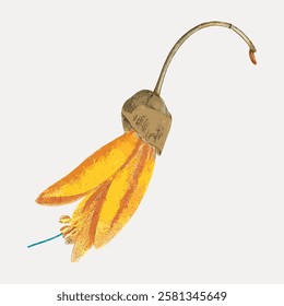 Illustration of a yellow flower with elongated petals and a curved stem. The flower has a natural, artistic style with a focus on texture and color. Vintage flower illustration isolated, vector.