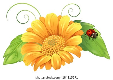 Illustration of a yellow flower with leaves and a bug on a white background